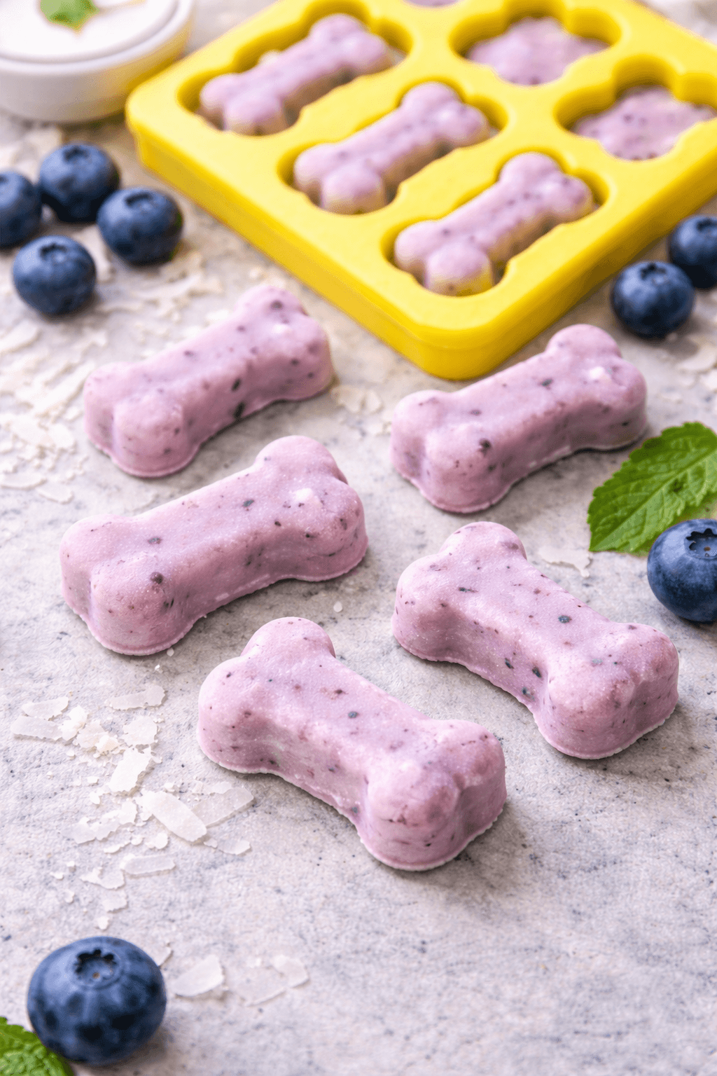 Frozen blueberry coconut dog treats